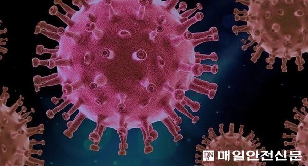 대구에서 의료비원을 마치고 격리중이던 40대 간호사가 코로나19 확진자로 판명됐다.