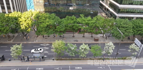 [내일날씨] 7일 맑은 날씨는 8일까지 이어지다가 오후 3시부터 남부지방을 시작으로 비가 오기 시작해 자어 무렵 전국으로 확산하겠다.사진은 강남대로 이팝나무 가로수가 활짝 핀 모습.(김혜연 기자)