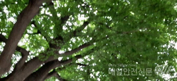 [주말날씨] 8일 저녁부터 내리기 시작한 비는 9일 저녁 그칠 것으로 보인다.(신윤희 기자)