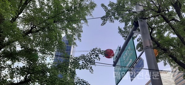 [주말날씨] 8일 내리기 시작한 비가 9일까지 이어질 것으로 예상된다. 이날 오전 광화문 가로수에 매달린 연등에 바람이 스치고 있다.(신윤희 기자)