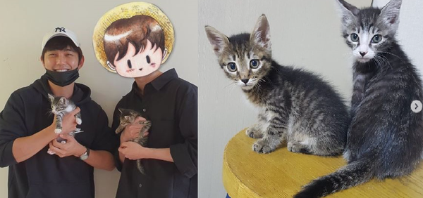 유승호가 '동물학대 논란'이 일자유튜브 갑수목장에서 입양했던 고양이 고미와 도리의 이름을 심바와 가을이로 변경했다.(사진=(왼)유튜브 갑수목장 커뮤니티 (오) 유승호 SNS)