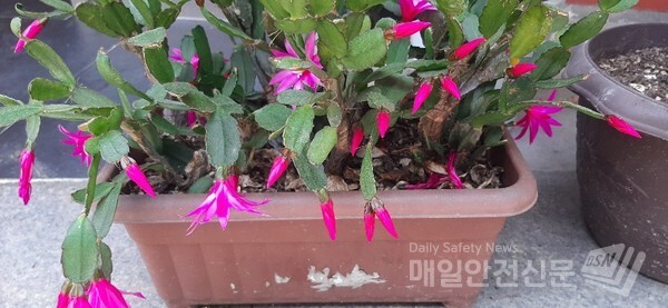 [오늘날씨]8일 오후 6시 서해안에서 비가 내릴 전망이다.(신윤희 기자)