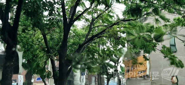 [내일날씨]내일 11일에는 전국이 구름 많고 중부 지방과 전북, 경북은 밤부터 12일 새벽 사이에 비가 조금 오는 곳이 있겠다.(신윤희 기자)
