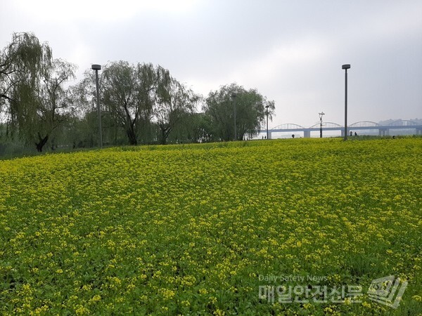 [오늘날씨] 비가 그친 10일 저녁 서울과 경기 지역에서는 초미세먼지가 나쁨 수준을 보이고 있다.(신윤희 기자)
