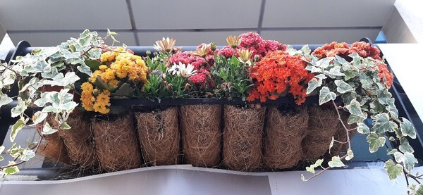[황사]오늘 오후 중부지방에 황사가 나타날 가능성이 있다.(신윤희 기자)
