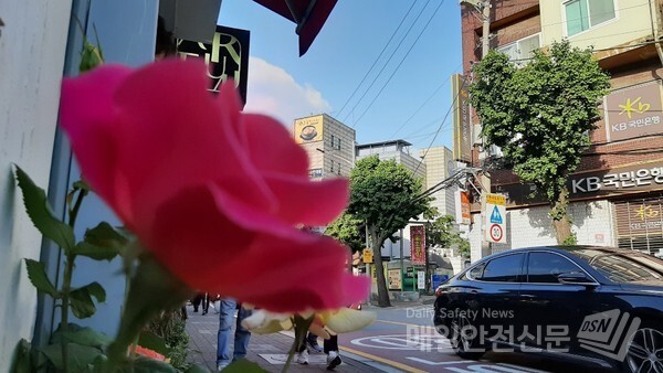 [오늘의 날씨]14일 오늘은 전국이 구름 많다가 저녁부터  차차 흐려질 전망이다. 15일 내일은 전국이 흐리고 비가 오겠다. (신윤희 기자)