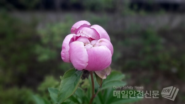 [오늘의 날씨]충청, 전라, 제주는 15일 새벽부터 비온 후 저녁에 그치고, 경상도에서는 아침부터 비온 후 늦은 밤에 그치겠다.(신윤희 기자)