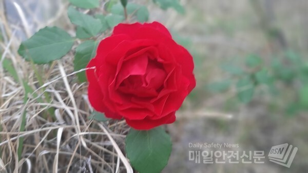 [주말날씨]15일 중국 상해부근에서 동북동진해 남부지방을 지나는 저기압의 영향을 받아 서울, 경기, 강원도는 새벽에서 아침 사이 비가 시작해 16일 새벽에 그치겠다.(신윤희 기자)