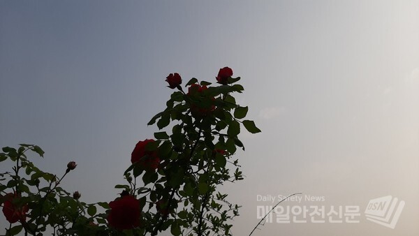 [오늘날씨와 내일날씨]주말을 마감하는 17일 밤까지 경기 북부와 강원 북부에 비가 오는 곳이 있겠다. 내일과 모레에도 강한 비가 내리겠다.(신윤희 기자) 