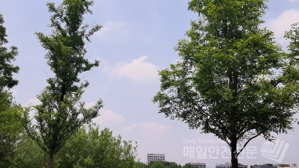 [오늘의날씨]23일 오늘 중부지방은 대체로 흐리고 경기 북부와 강원 영서북부는 오늘 밤 9시에서 자정 사이에 비가 오는 곳이 있겠다. 신윤희 기자