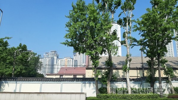[오늘날씨]오늘 낮 기온은 어제와 비슷해 최고기온이 22∼29도 분포를 보이겠다.    /신윤희 기자