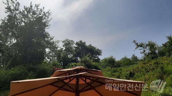 [오늘의 날씨] 오늘 전국이 구름많고 강원, 충청, 전라 내륙에서는 오후에 소나기가 내리겠다 /신윤희 기자