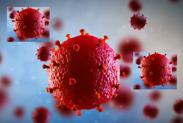 코로나바이러스는 현미경으로 보면 왕관 모양의 돌기때문에 '코로나'라는 명칭을 사용하게 됐다.