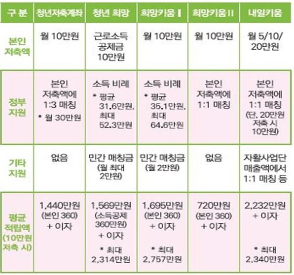 청년저축계좌 지원내용(자료=보건복지부 제공)