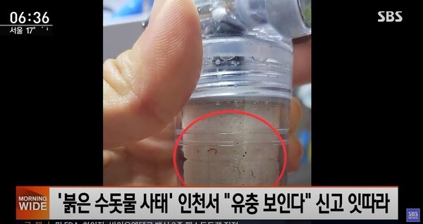 인천시 서구 수돗물 내에서 유충이 발생했다.(사진=SBS News 영상 캡처)