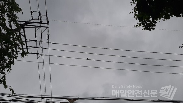 [오늘의 날씨]오늘까지 전국 대부분 지방에서 비가 오는 곳이 있는 가운데 중부지방과 전북 지방에 강한 비가 내리겠다./신윤희 기자