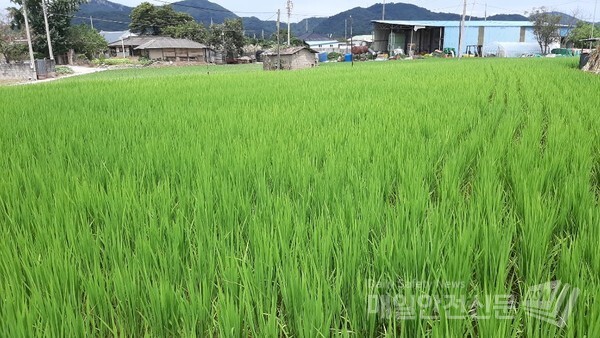 오늘 날씨도 전국에 폭염과 열대야가 나타나면서 덥겠다. /신윤희 기자  