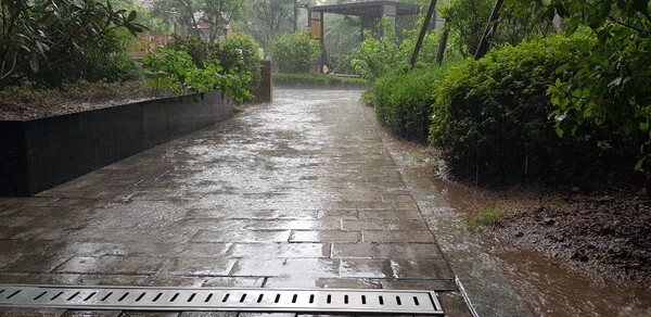 서울 서초구에 갑자기 소나기가 쏟아졌다.(사진, 김혜연 기자)