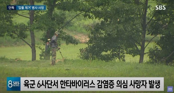 제초 작업 후 사망한 육군 병사의 사망원인은 한타바이러스인 것으로 추정되고 있다.(사진=SBS News 캡처)