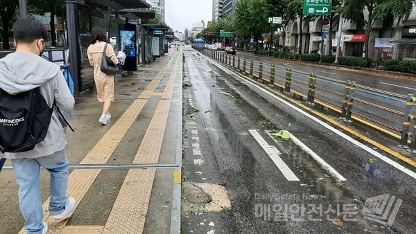 태풍 마이삭에 따른 태풍으로 밤새 강풍이 불면서 3일 오전 서울 광화문 종로 버스정류장 부근 도로에 가로수에서 떨어져 나온 나뭇잎들이 어지럽게 흐트러져 있다. /신윤희 기자