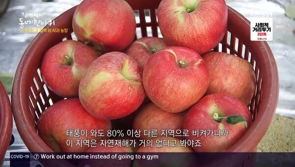 김영철이 포천에서 사과농장을 하는 가족을 만났다 (사진, KBS1TV '김영철의 동네 한 바퀴' 캡처)