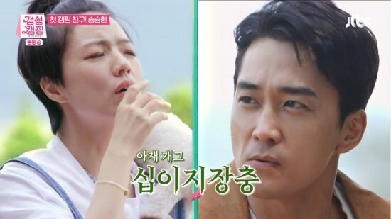 '갬성캠핑'에 등장한 송승헌의 아재개그에 모두가 질색했다 (사진, JTBC '갬성캠핑' 캡처)