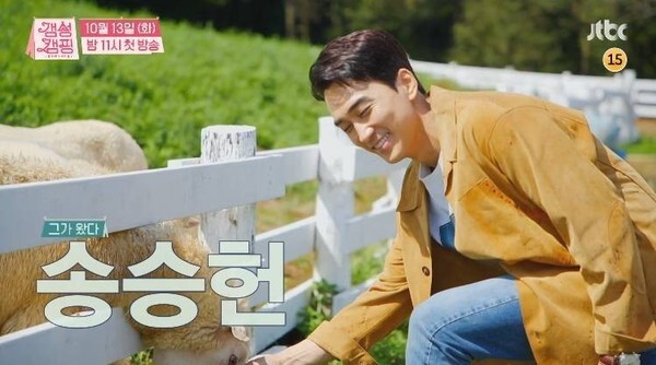 '갬성캠핑'에 등장한 송승헌의 아재개그에 모두가 질색했다 (사진, JTBC '갬성캠핑' 캡처)