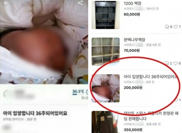 (캡처=당근마켓, 온라인 커뮤니티)