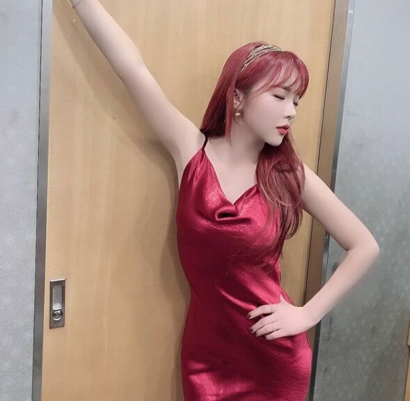 홍진영 논문 표절 의혹에 조선대 교수가 부끄럽다고 전했다 (사진, 홍진영 인스타그램 캡처)