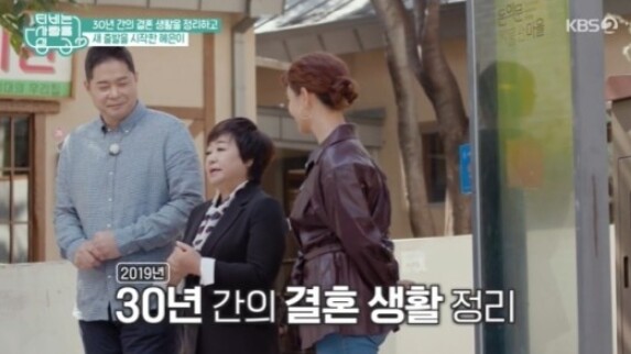 가수 혜은이가 화제다 (사진, KBS2TV 'TV는 사랑을 싣고' 캡처)