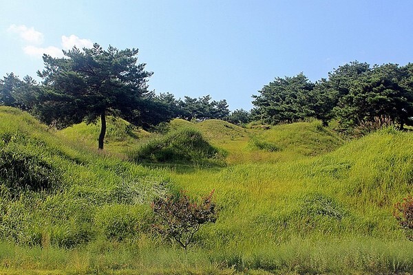 기사와 관계없는 자료 사진 (사진=Wikimedia)