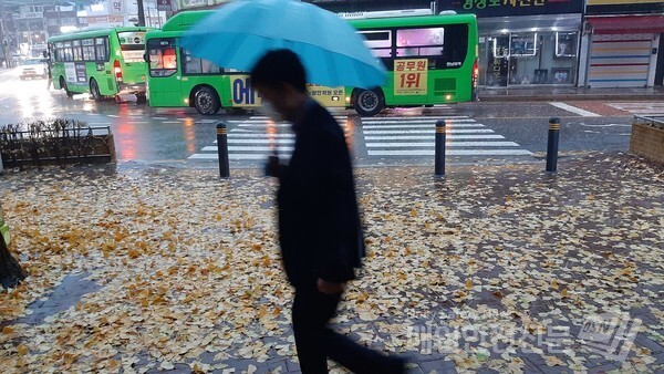 [오늘과 내일, 주말날씨]비가 내리는 19일 오전 서울 시내에 은행나무잎이 수북이 떨어진 가운데 한 시민이 우산을 받쳐들고 출근을 서두르고 있다. /신윤희 기자