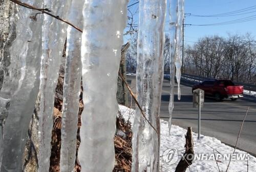 이번 겨울들어 가장 추운 날씨를 보인 23일 강원도 대관령에 고드름이 꽁꽁 얼어 있다. /연합뉴스