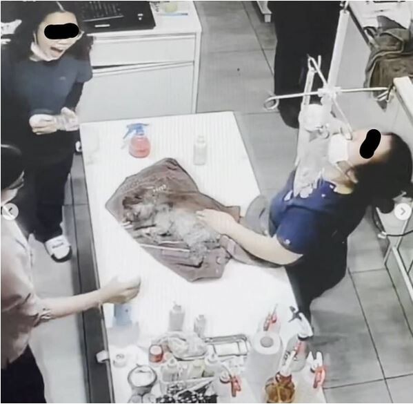 강아지에 탈취제를 뿌린 동물병원이 경찰에 고발 조치됐다.(사진=온라인 커뮤니티 캡처)