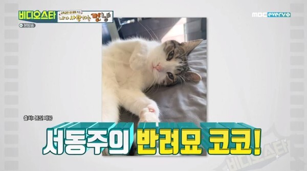 서정희 딸 서동주가 화제다 (사진, MBC every1 '비디오스타' 캡처)