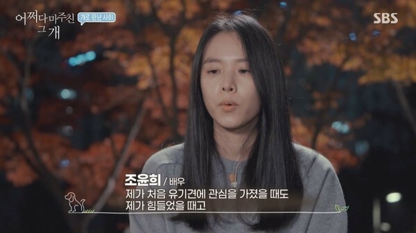 조윤희가 화제다 (사진, SBS '어쩌다 마주친 그 개' 캡처)