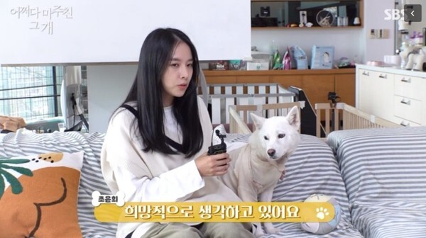 조윤희가 화제다 (사진, SBS '어쩌다 마주친 그 개' 캡처)