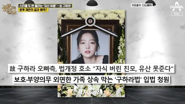 구하라 재산 분할 소식이 네티즌들의 분노를 자아냈다 (사진, 채널A '풍문으로들었쇼' 캡처)