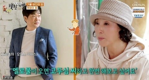 '허영만의 백반기행'에 등장한 손현주가 고두심을 언급했다 (사진, (사진, TV조선 '허영만의 백반기행' 캡처)