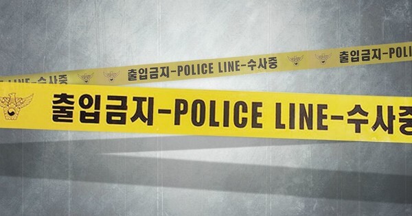 (그래픽=연합뉴스)
