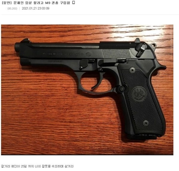 (캡처=디시인사이드)