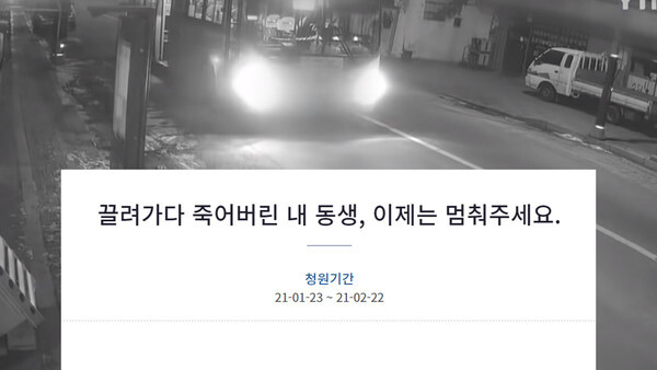 (캡처=YTN)