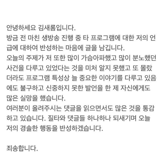 김새롬 실언이 논란이 되고 있다 (사진, 김새롬 인스타그램 캡처)