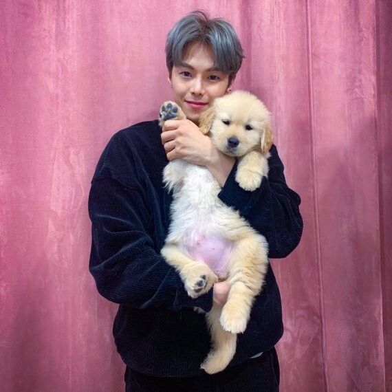 박은석이 강아지 파양 의혹에 휩싸였다 (사진, 박은석 인스타그램 캡처)