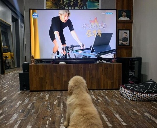 박은석이 강아지 파양 의혹에 휩싸였다 (사진, 박은석 인스타그램 캡처)