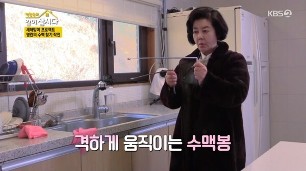 김영란과 혜은이가 화제다 (사진, KBS2TV '박원숙의 같이삽시다 시즌3' 캡처)