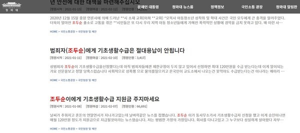 청와대 국민청원 사이트에 올려진 조두순 관련 청원글.