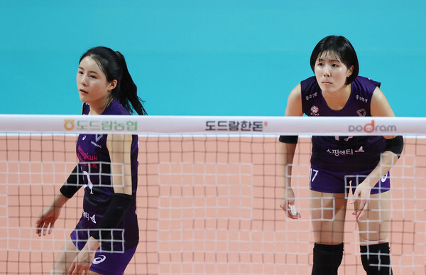 이재영과 이다영
