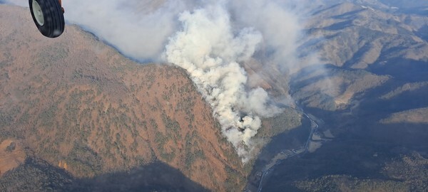 사진= 연합뉴스 제공