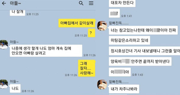 김동성이 극단적 선택을 시도한 것으로 나타나 충격을 주고 있다 (사진, 인민정 인스타그램 캡처)